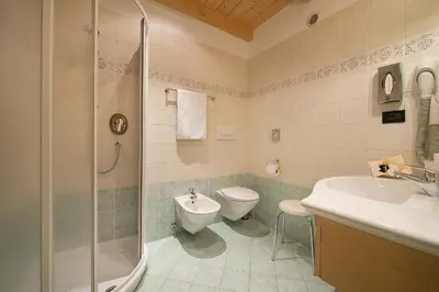 a bathroom with a toilet and a sink and a shower at Hotel Cristallo in Passo San Pellegrino