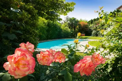 a garden with pink flowers and a swimming pool at Pension Angergut in Cermes