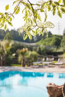 a view of a swimming pool from a tree branch at Residence Hoferhof in Lana