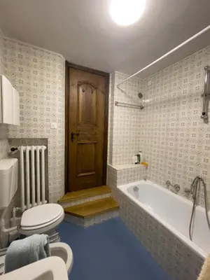 a bathroom with a toilet and a bath tub at I mughi - Cortina in Cortina dʼAmpezzo