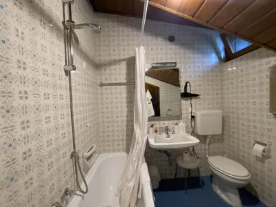 a bathroom with a shower and a toilet and a sink at I mughi - Cortina in Cortina dʼAmpezzo