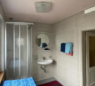 a bathroom with a shower and a sink at Alpen Ferienwohnung II in Lappago