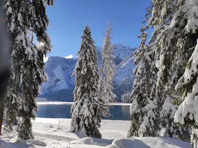 a view of a lake with snow covered trees at Hotel Weisses Lamm in Monguelfo