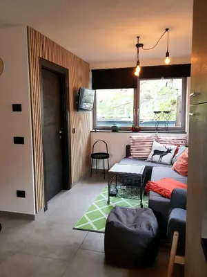 a living room with a bed and a couch at Klimahouse North in Campitello di Fassa