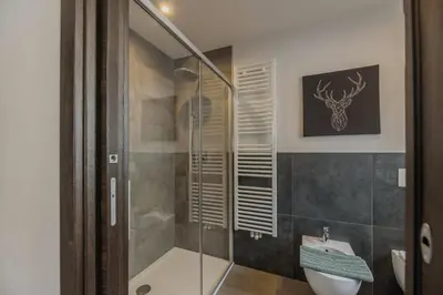 a bathroom with a shower and a toilet and a sink at Klimahouse North in Campitello di Fassa