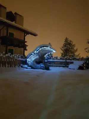 a sculpture of a dinosaur is lit up at night at Klimahouse North in Campitello di Fassa