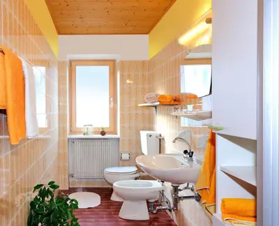a bathroom with a white toilet and a sink at Gemangerhof in Bressanone