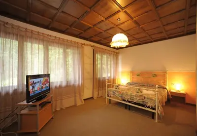 a bedroom with a bed and a television in it at Residence Regina Delle Dolomiti in Rocca Pietore