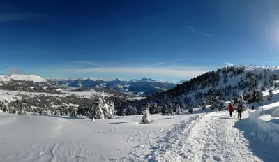 a group of people skiing down a snow covered slope at Finggeneislerhof in Villandro