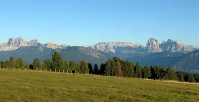 a field with trees and mountains in the background at Finggeneislerhof in Villandro