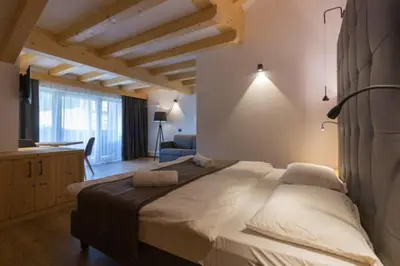 a bedroom with a large bed in a room at Arnica Mountain Hotel in Soraga