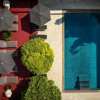 goldfinger + suites