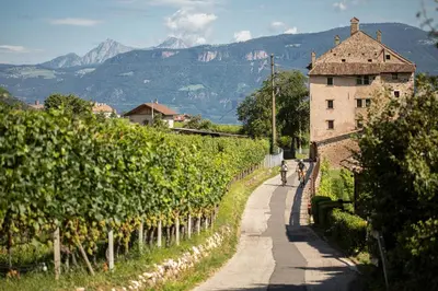 a road through a vineyard with a building and mountains at Hotel Girlanerhof in Appiano sulla Strada del Vino