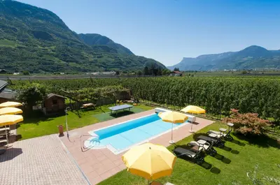 a swimming pool with umbrellas and a vineyard at Residence Pollingerhof in Merano