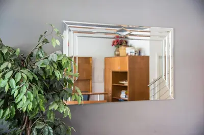 a mirror in a living room with a plant at Hotel Ariston in Bolzano