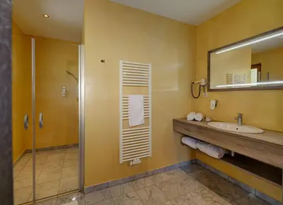 a bathroom with a shower and a sink and a mirror at Alpentirolis in Tirolo