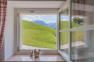 two cats sitting on a window sill looking out at a green hill at La Piccola Casa Verde in Canale San Bovo