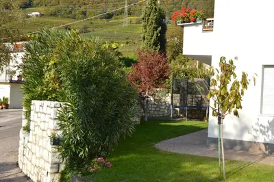 a garden with bushes in a yard next to a house at Residence Nesslerheim in Termeno