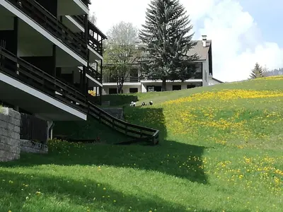 a building on a hill with a field of flowers at Casa Tiziana By Go New Location in Carano