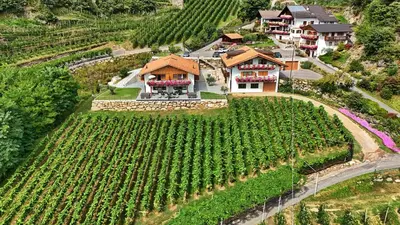 an aerial view of a house in a vineyard at Residence Blumenthalerhof in Lagundo
