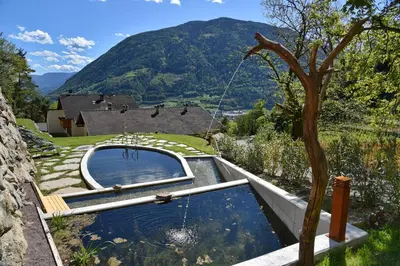 a pool of water with a tree and a house at Residence Blumenthalerhof in Lagundo