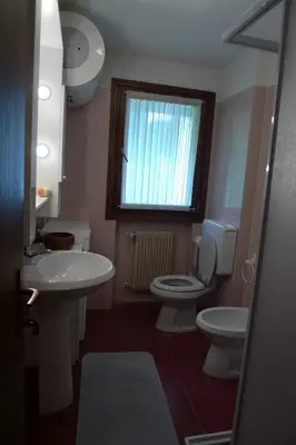 a bathroom with a sink and a toilet and a window at Condominio Le Marmotte in Selva di Cadore