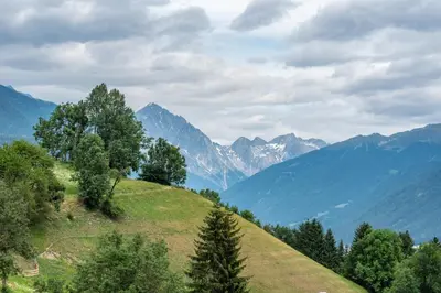 a hill with trees and mountains in the background at Residence Mühlegg in Valdaora