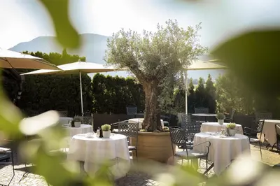 a group of tables and chairs with umbrellas and a tree at Lingers Suites & Residence in Appiano sulla Strada del Vino