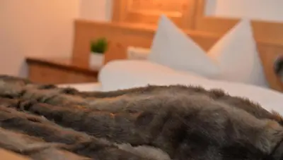 a close up of a blanket on a bed at Garni Sunela B&B in Selva di Val Gardena