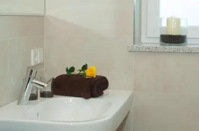 a bathroom sink with a towel and a plant on it at Oberberghof in Appiano sulla Strada del Vino