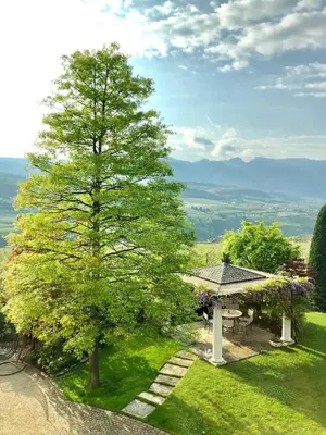 a tree on a hill with a gazebo at Relais Villa Quercia in Tassullo