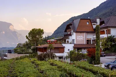 a hotel on a hill with a vineyard at Hotel Haus am Hang in Caldaro