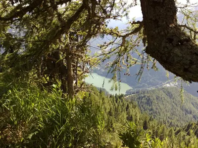 a view of a valley with trees and a mountain at Appartamento San Marco in Caprile