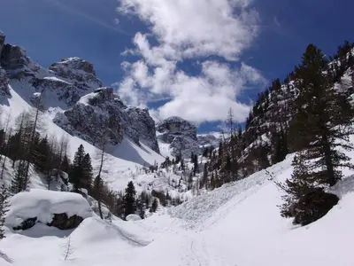 a snow covered mountain with trees and mountains at Appartamenti Ciasa Linda in San Martino in Badia