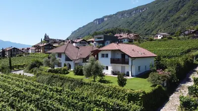 a villa in a vineyard in the mountains at Unterstoan Hof in Termeno