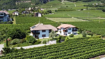 a house on a hill with a vineyard at Unterstoan Hof in Termeno