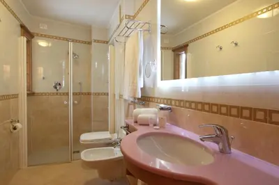 a bathroom with a pink sink and a shower at Hotel Fanes Suite & Spa in Moena