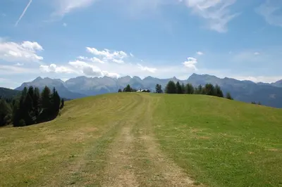 a dirt road on a green hill with mountains in the background at Cimon Dolomites Hotel in Predazzo