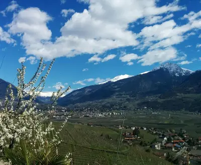 a view of a town with mountains in the background at Schwaningerhof in Cermes