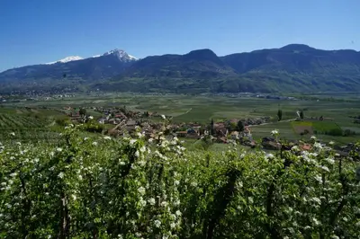 a village in a valley with mountains in the background at Schwaningerhof in Cermes