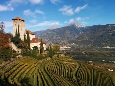 a castle on a hill next to a vineyard at Schwaningerhof in Cermes