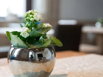 a glass vase with a plant in it on a table at Hotel Blitzburg in Brunico