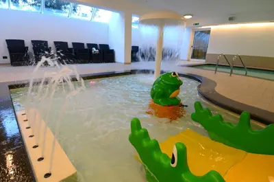 a pool with a frog sitting in the water at Resort Dolce Casa - Family & Spa Hotel in Moena