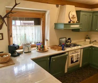 a kitchen with green cabinets and a stove at Ciaseles a due passi da Cortina d'Ampezzo in San Vito di Cadore