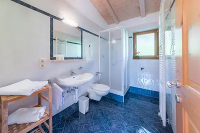 a bathroom with a sink and a toilet and a shower at Pardellerhof Lüsen in Luson