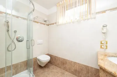 a bathroom with a shower and a toilet and a sink at Frara Residence Apartments in San Cassiano