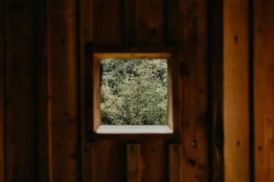 a window in a wooden wall with a tree at CHALET D'ERT in La Valle