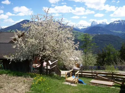 a tree with white flowers on it with mountains in the background at Rasöller Hof in Villandro