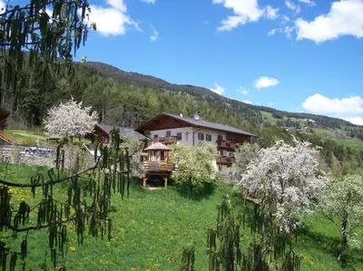 a house in the middle of a field with trees at Rasöller Hof in Villandro