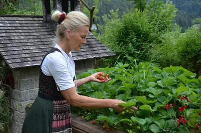 a woman standing in a garden holding tomatoes at Falkenau in Chienes